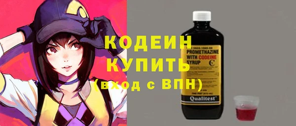 хмурый Алексин